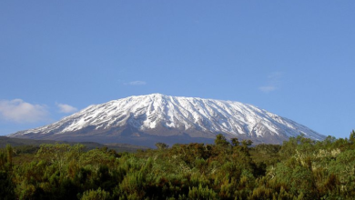 Mt Kilimanjaro